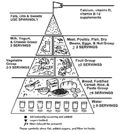 New Food Pyramid For Seniors – Ages 50, 70 and Beyond – Individualizing Food 